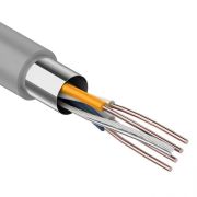 Кабель FTP 2*2*0.4 CCA  «РС» «WX» (01-0121-3)