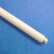 Лампа Philips TL-D 36W/33-640 G13 эл.л.люм. (25шт)