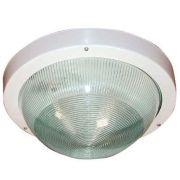 Светильник НПП 03-100-001 «Селена 1» IP65