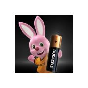 Эл-т пит. LR Duracell LR06/АА