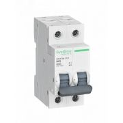 Автомат. выключатель  2Р 25А С Schneider City9 Set